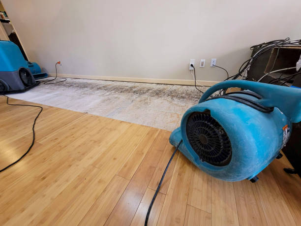 Professional Flood Damage Cleanup technician working in Roxbury, ME
